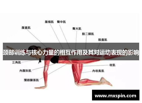 颈部训练与核心力量的相互作用及其对运动表现的影响